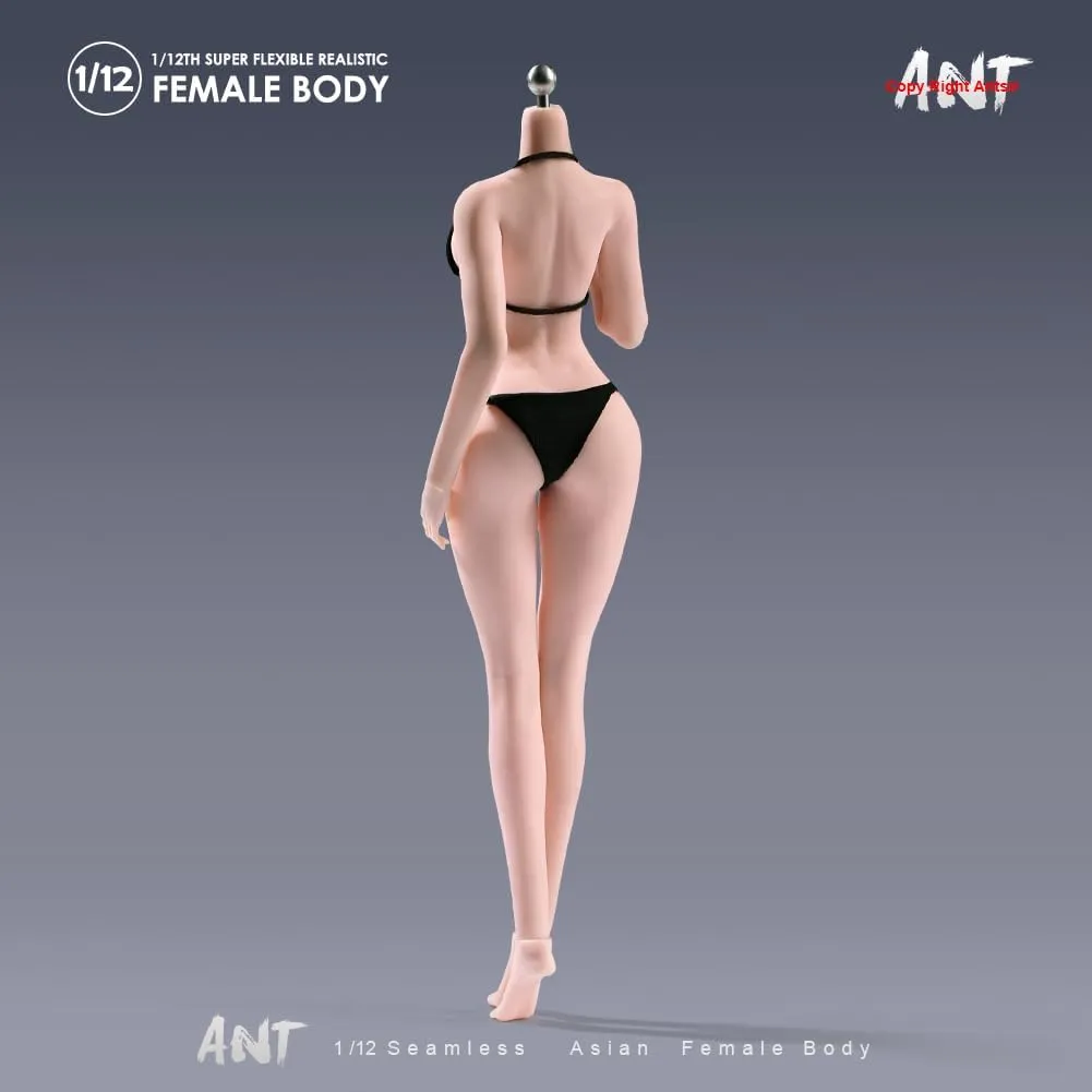 1/12 Scale Female Body,Fitness Edition Beauty Action Figure Body 6inch Super Flexible Pale Skin Seamless with Detachable Hand Feet Miniature Modle for Bodybuilding Sports Hobby Collection