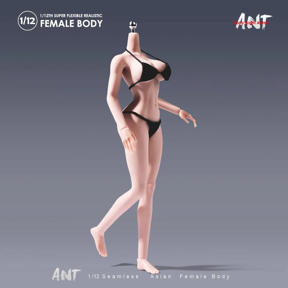 1/12 Scale Female Body,Fitness Edition Beauty Action Figure Body 6inch Super Flexible Pale Skin Seamless with Detachable Hand Feet Miniature Modle for Bodybuilding Sports Hobby Collection
