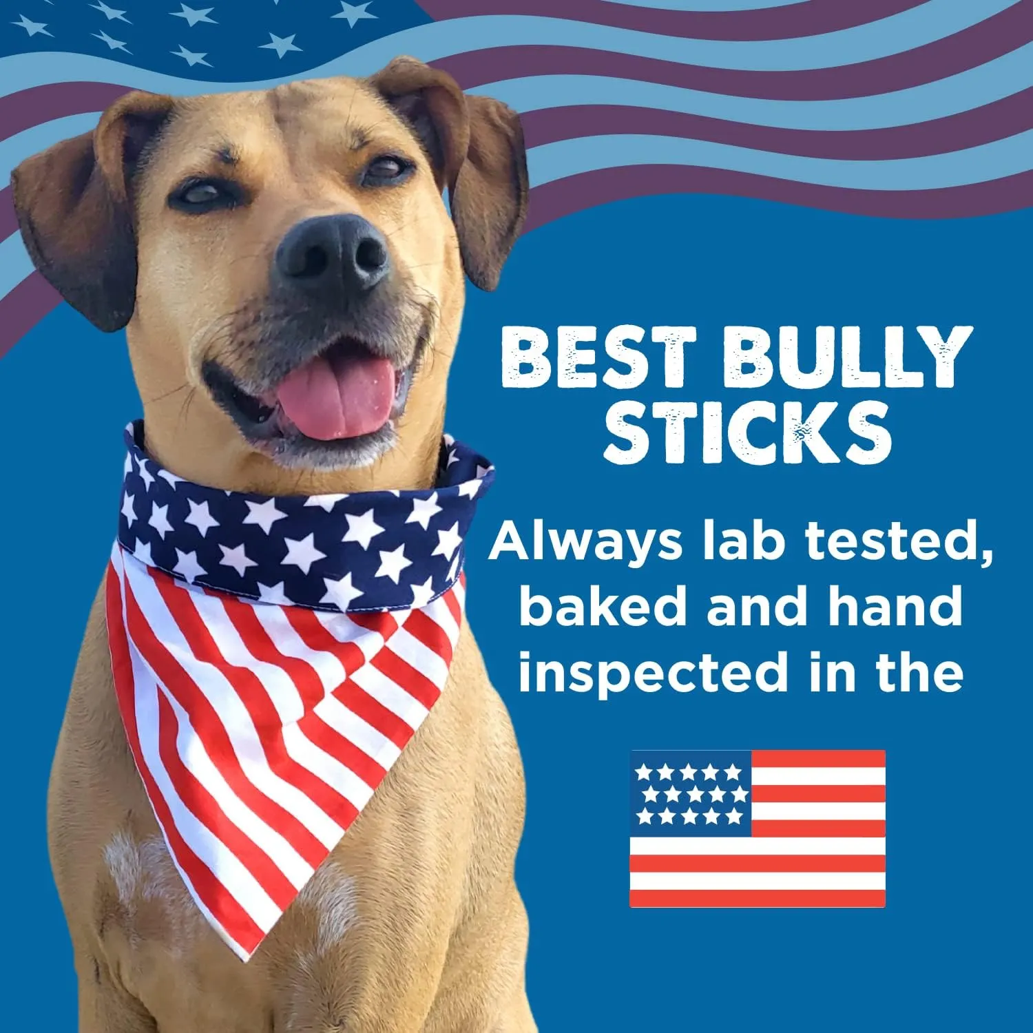 Best Bully Sticks 6 Inch Bully Sticks for Dogs - 5 Count (Pack of 1) - All-Natural, Easily Digestible, 100% Grass-Fed Beef, Grain and Rawhide Free - Trial Size