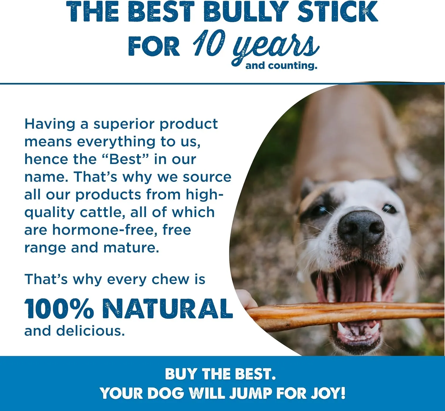 Best Bully Sticks 6 Inch Bully Sticks for Dogs - 5 Count (Pack of 1) - All-Natural, Easily Digestible, 100% Grass-Fed Beef, Grain and Rawhide Free - Trial Size