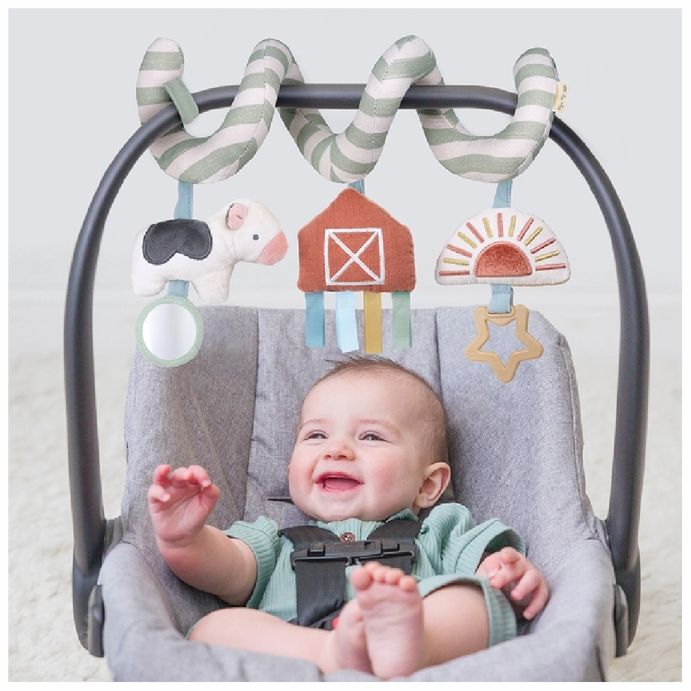 Bitzy Spiral Car Seat Toy
