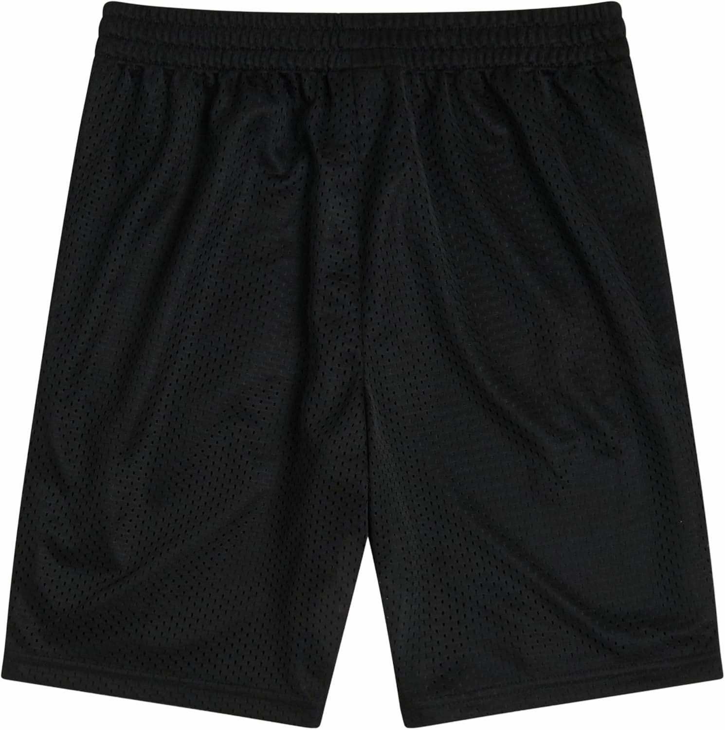 Champion Boys Shorts Athletic Mesh Basketball Short for Boy