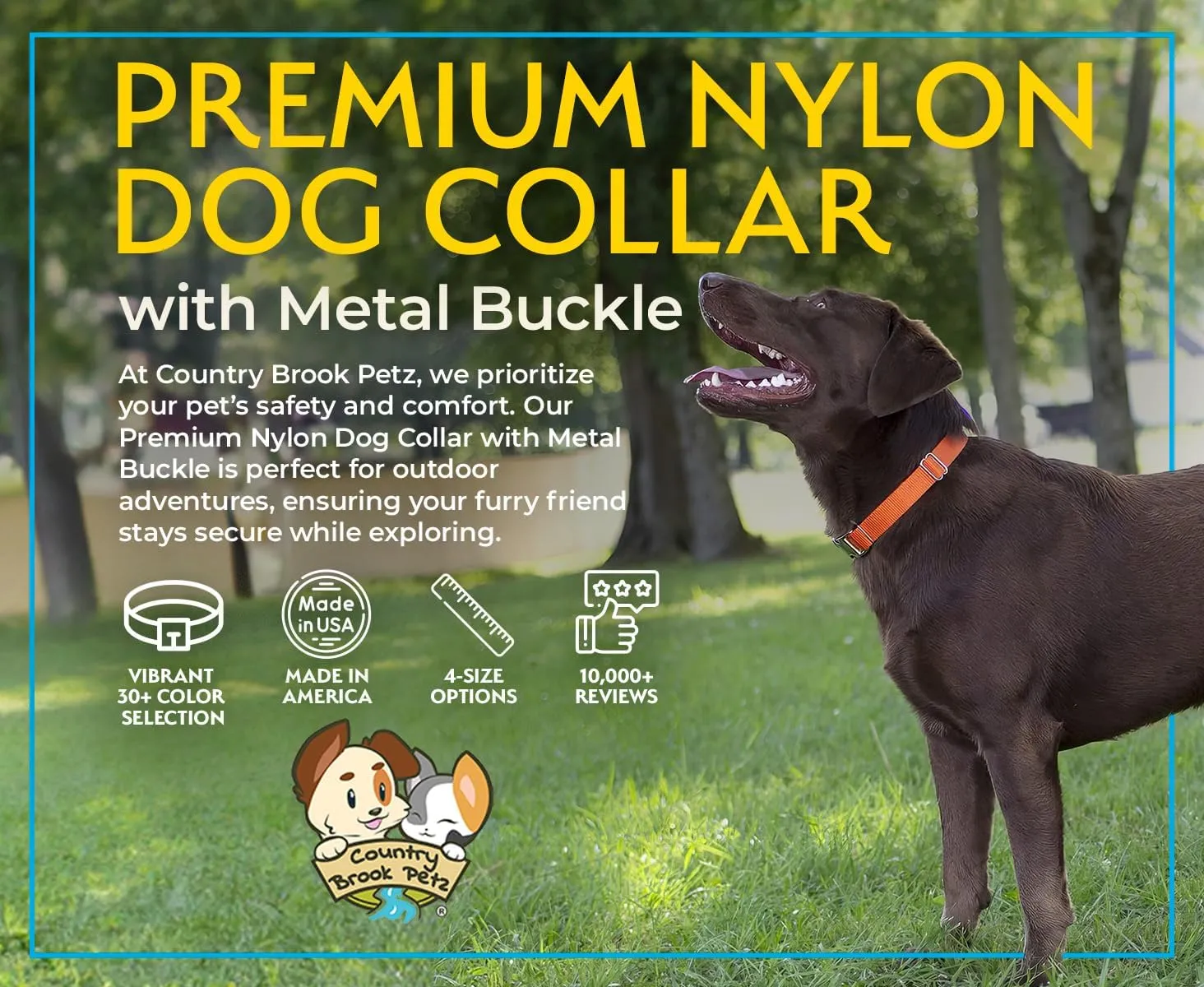 Country Brook Petz Premium Nylon Dog Collar with Metal Buckle for Small Medium Large Breeds - Vibrant 30  Color Selection (Extra Large, 1 Inch, Bright Red)