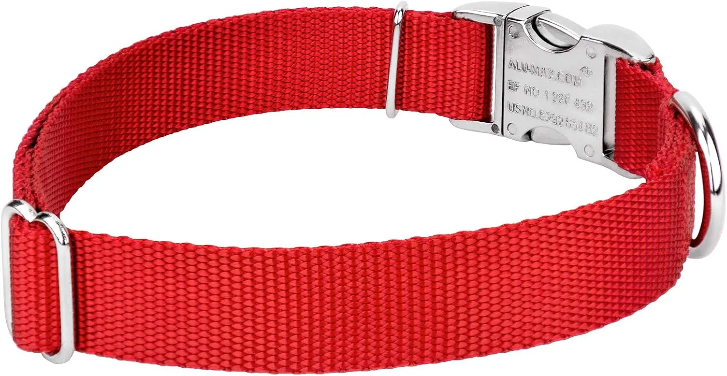 Country Brook Petz Premium Nylon Dog Collar with Metal Buckle for Small Medium Large Breeds - Vibrant 30  Color Selection (Extra Large, 1 Inch, Bright Red)