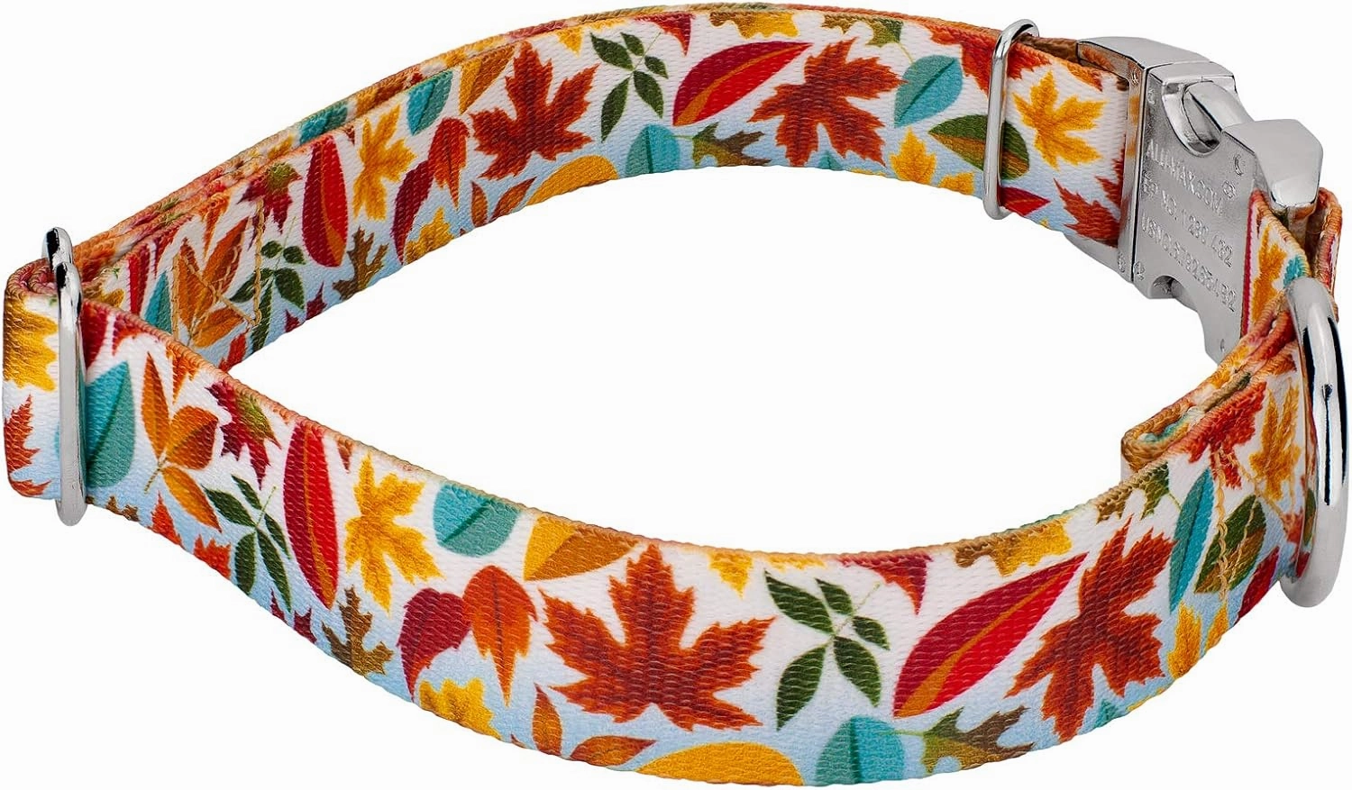 Country Brook Petz - Premium Brisk Autumn Dog Collar and Leash - Awesome Autumn Collection Featuring Designs You'll Fall for (1 Inch, Medium)