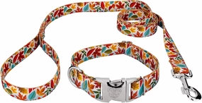 Country Brook Petz - Premium Brisk Autumn Dog Collar and Leash - Awesome Autumn Collection Featuring Designs You'll Fall for (1 Inch, Medium)