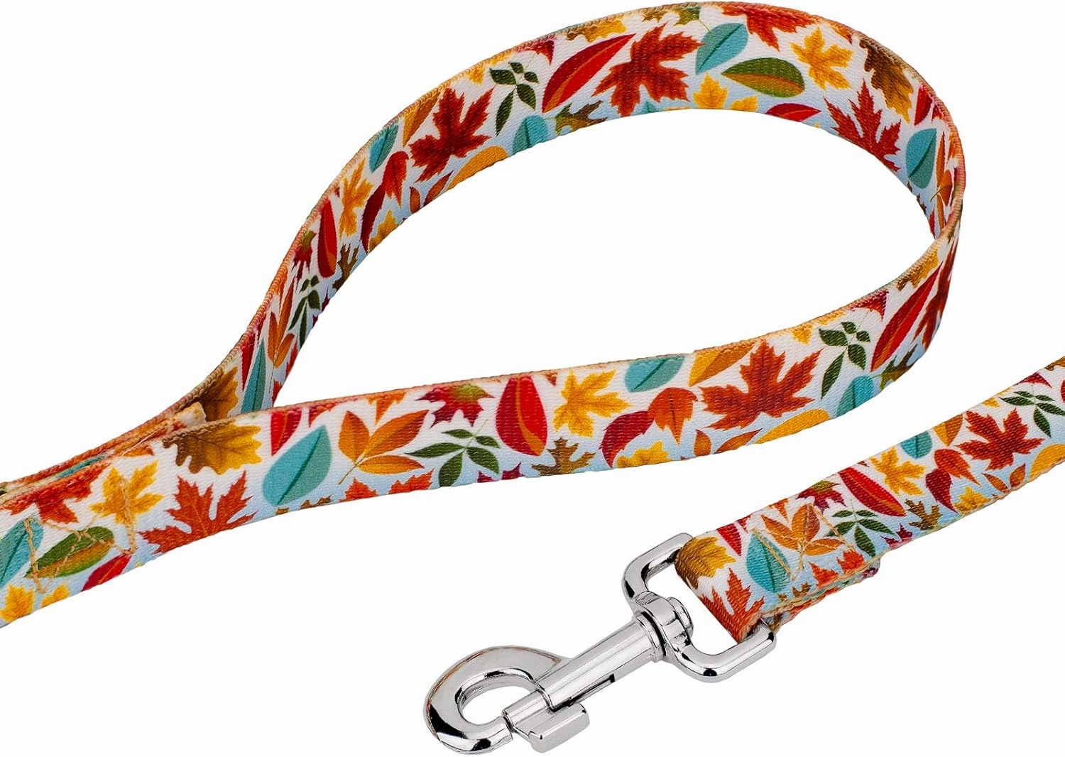 Country Brook Petz - Premium Brisk Autumn Dog Collar and Leash - Awesome Autumn Collection Featuring Designs You'll Fall for (1 Inch, Medium)