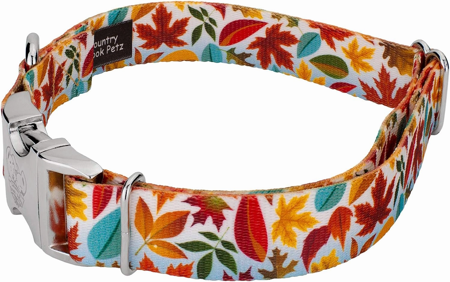 Country Brook Petz - Premium Brisk Autumn Dog Collar and Leash - Awesome Autumn Collection Featuring Designs You'll Fall for (1 Inch, Medium)