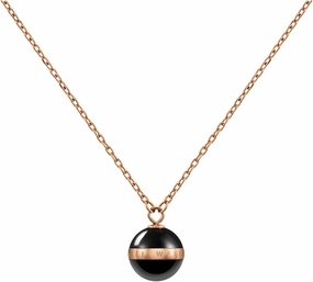 Daniel Wellington Aspiration Necklace