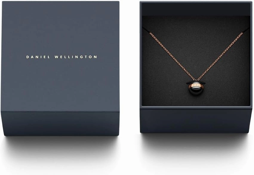 Daniel Wellington Aspiration Necklace