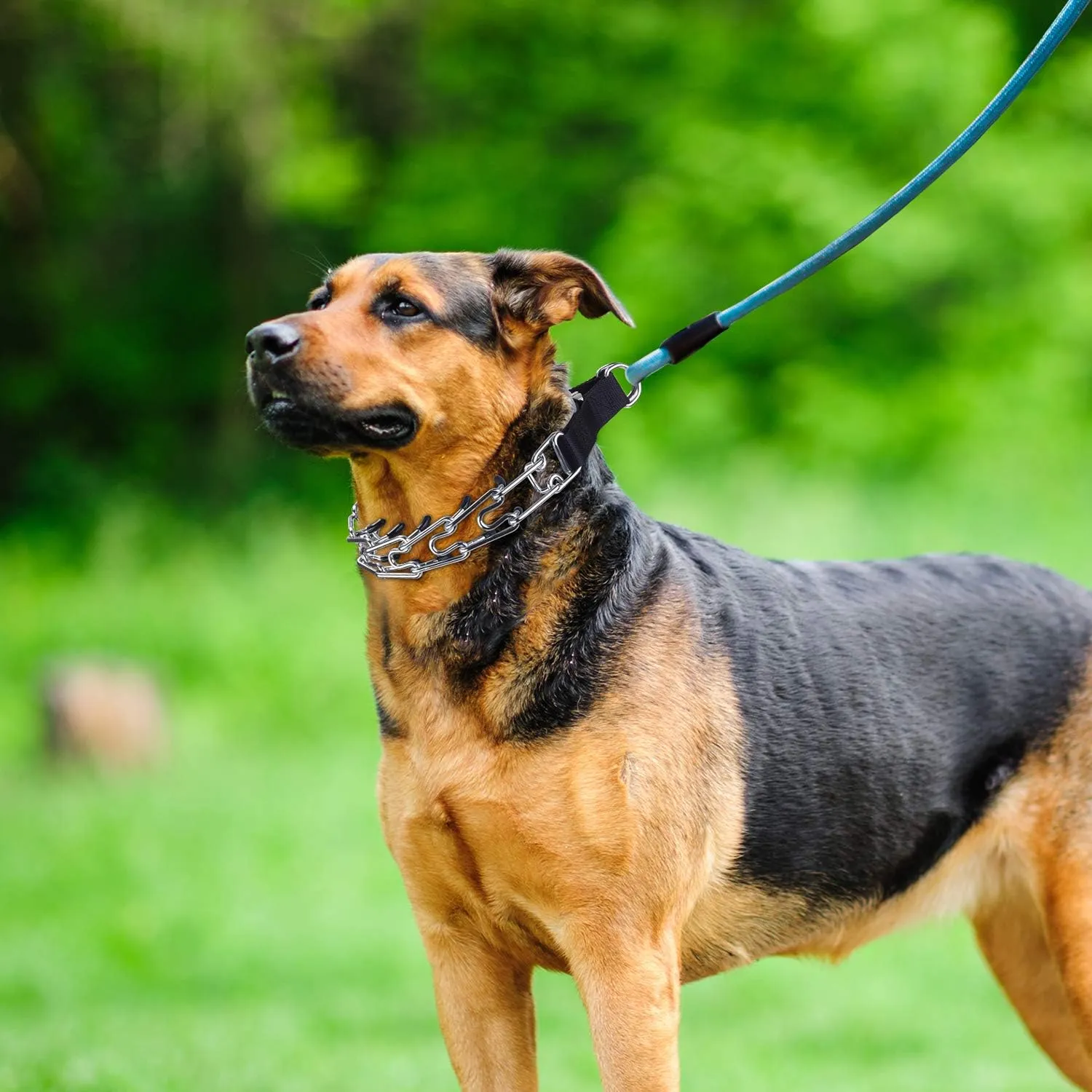 Dog Training Collar, Dog Prong Collar,High Strength Quick Release Metal Buckle,Comfort Rubber Tips,for Medium Dogs(3.0mm, 19.6-Inch, Black)