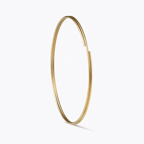 Double Hoop Earring 50
