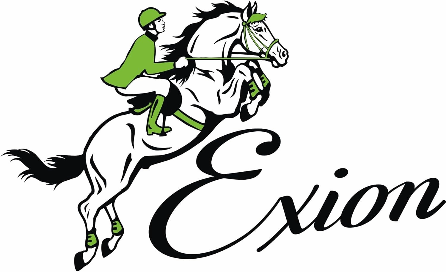 Exion Figure 8 English Jumping Bridle with Soft Padding & Rubber Reins | Anatomical Mono Crown | Grakle Noseband Mexican Bridle with SS Buckles | Premium Horse Bridle for Jumping & Eventing