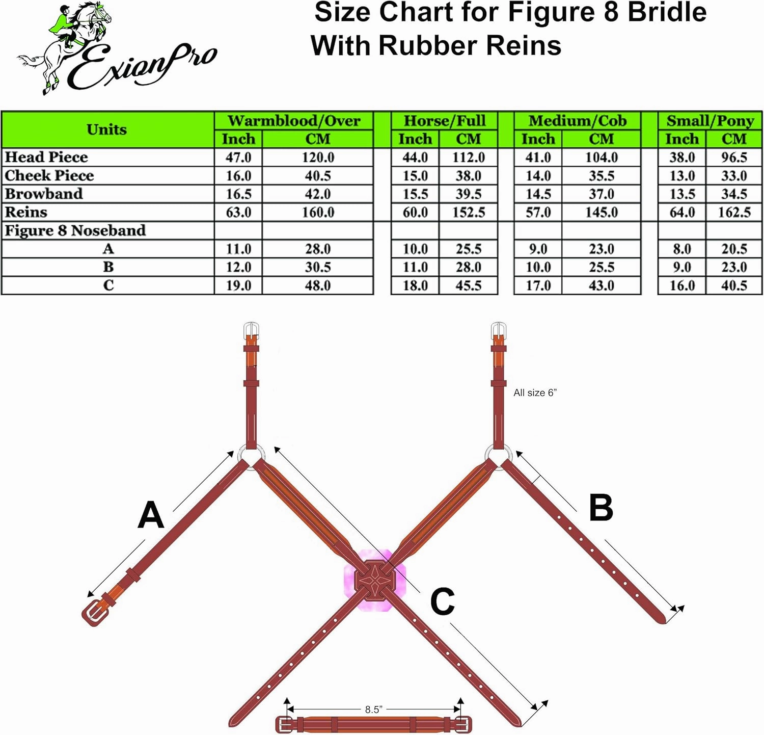 Exion Premium English Leather Figure 8 Bridle with Silver Clincher Noseband & Browband | Soft Padded Anatomical Crown Piece | Rubber Reins | Adjustable Fit | Jumping, Hunter, Eventing