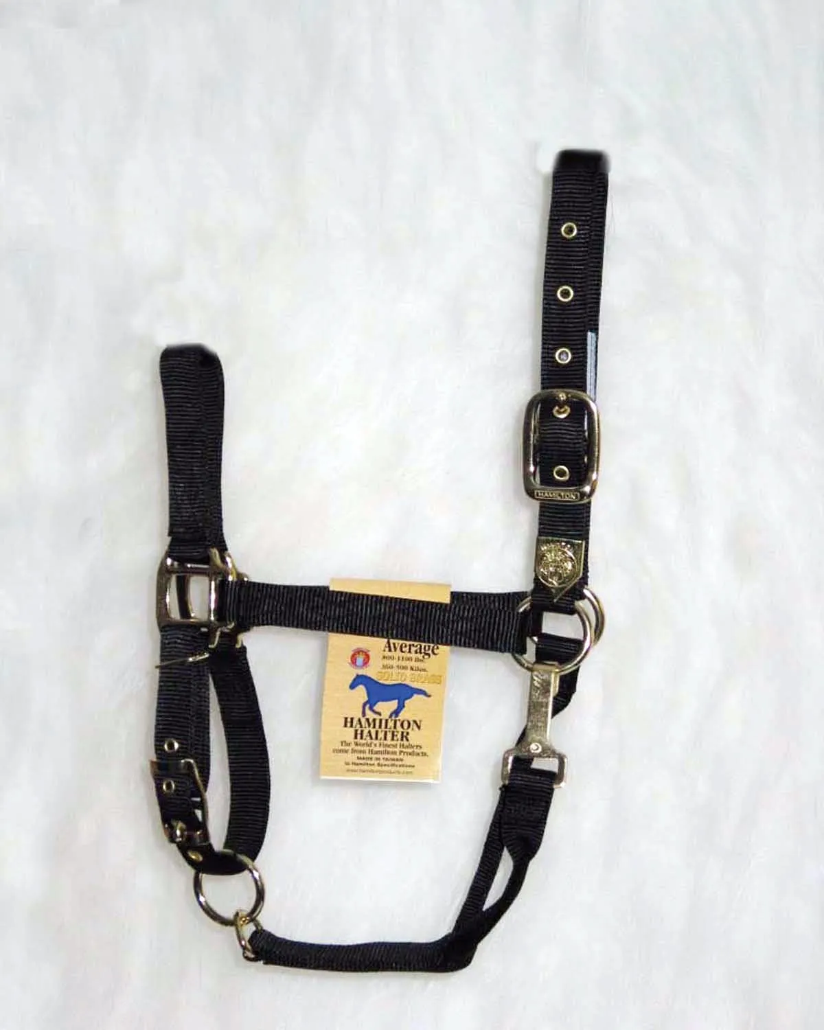 Hamilton 1-Inch Nylon Halter with Adjustable Chin, Black - Average Size
