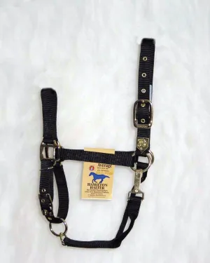 Hamilton 1-Inch Nylon Halter with Adjustable Chin, Black - Average Size