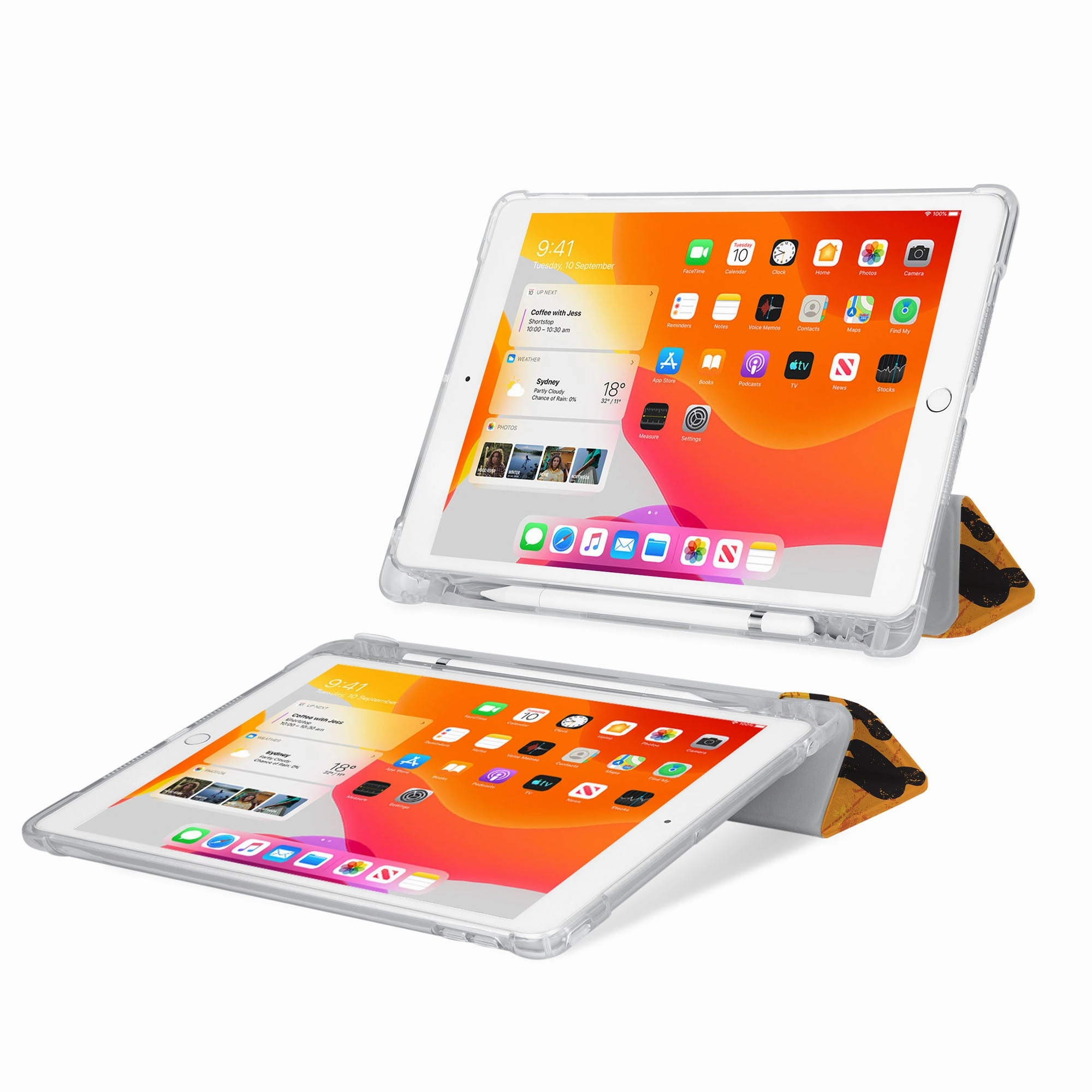 iPad SeeThru Case - Music