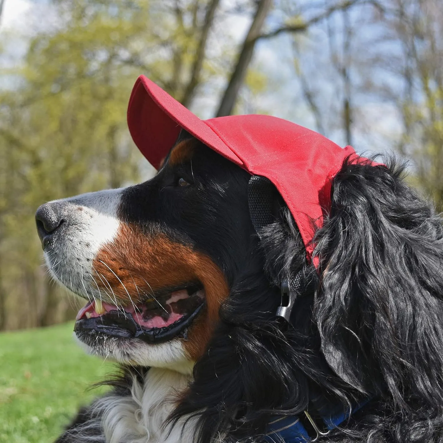 Littlearth Los Angeles Chargers NFL Pet Baseball Hat