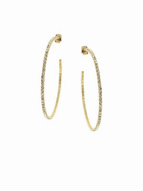 Medium Hoop Earrings