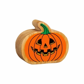 Natural Orange Pumpkin