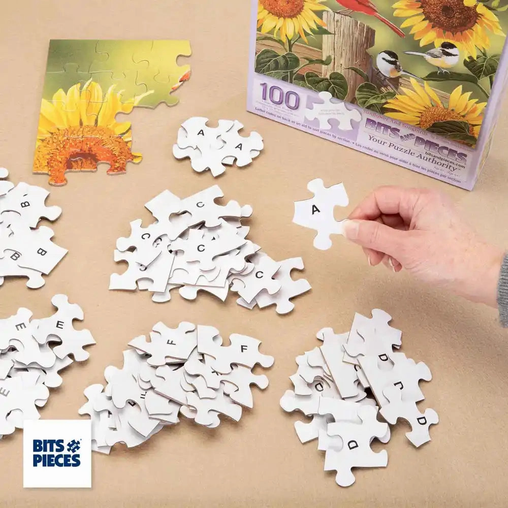 Oh What Fun! 100 Large Piece Jigsaw Puzzle