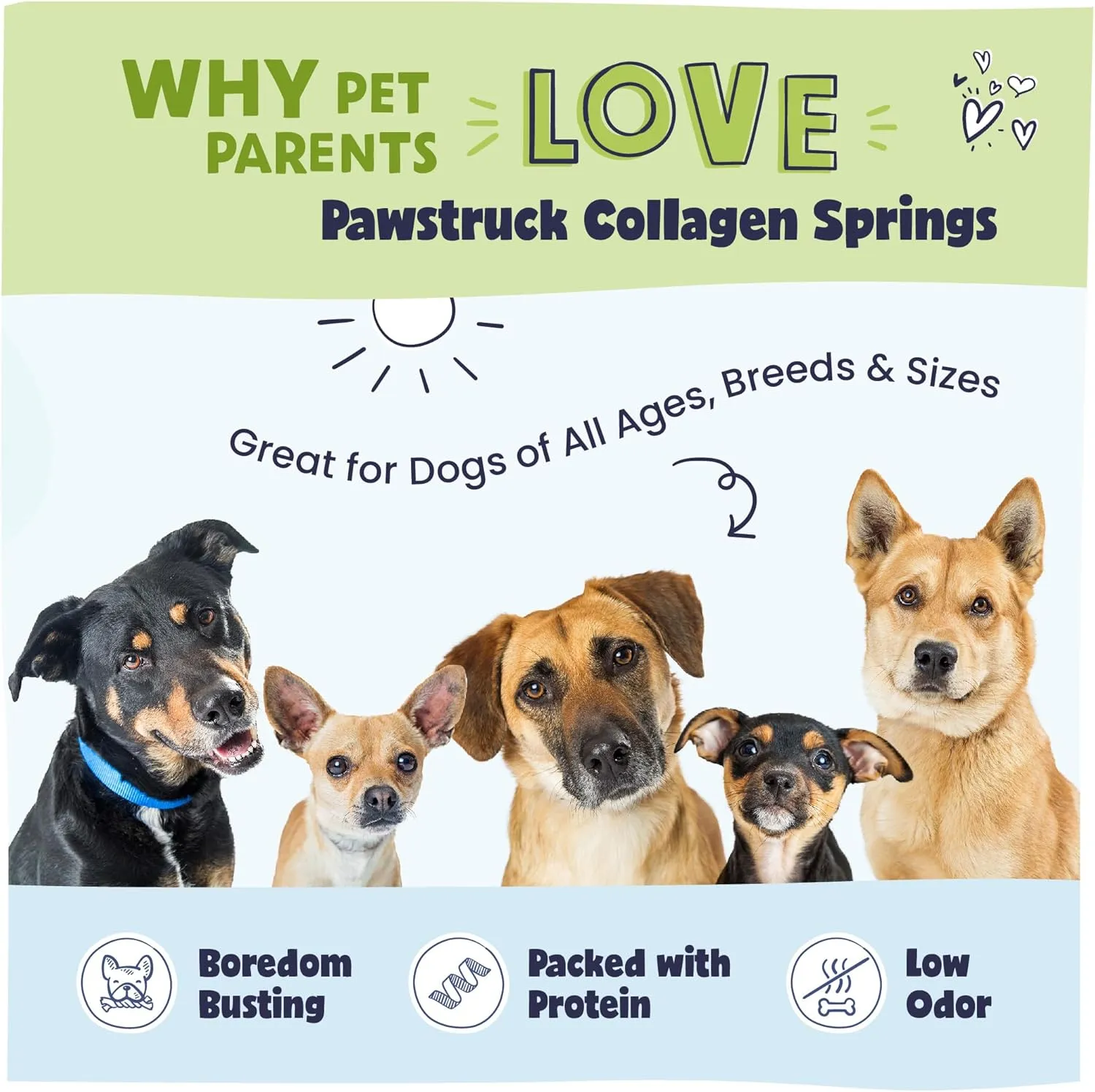 Pawstruck Natural Large Collagen Stick Springs for Dogs - Vet-Approved Long Lasting Alternative to Traditional Rawhide & Bully Sticks with Glucosamine & Chondroitin - 4 Pack - Packaging May Vary