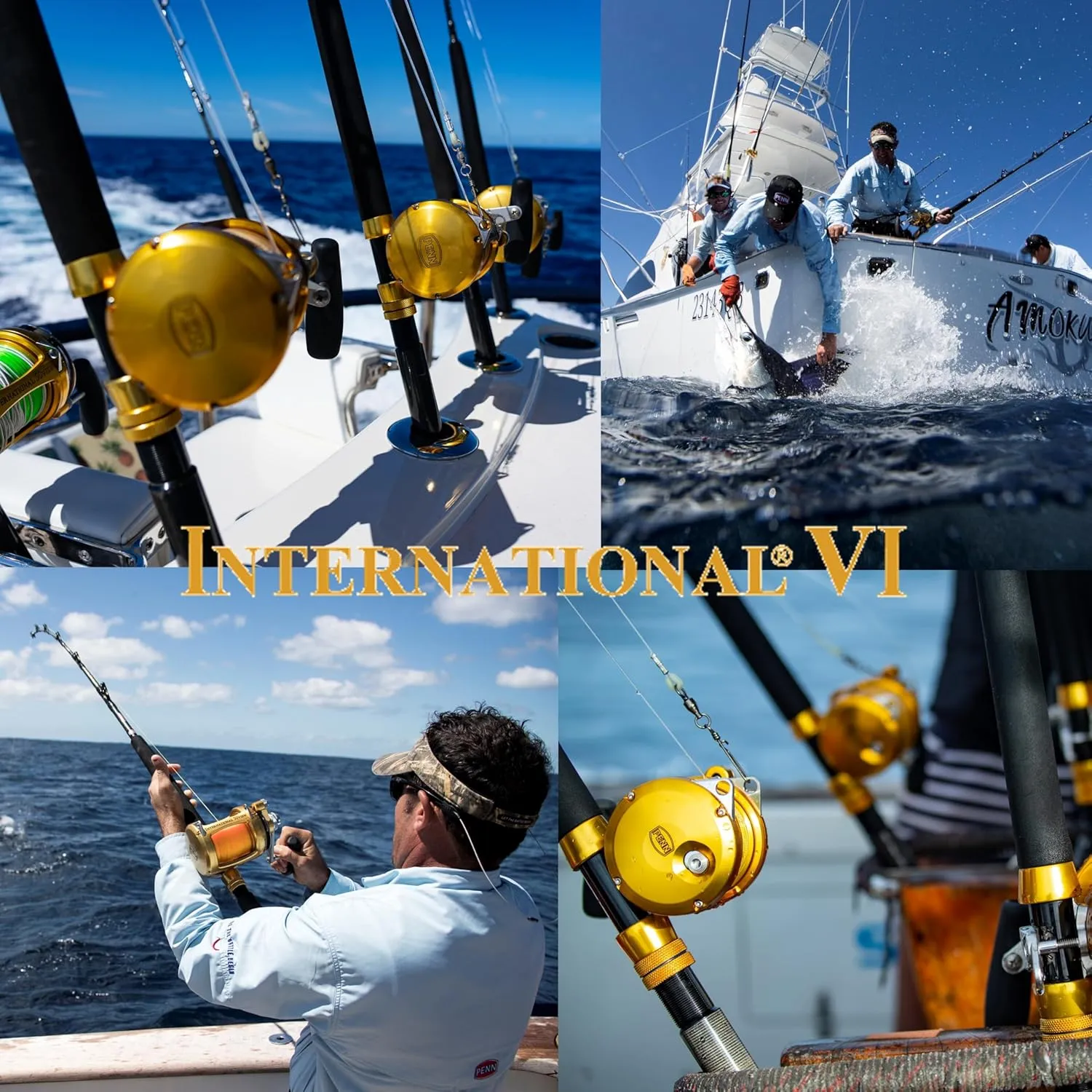 Penn International VI Conventional Fishing Reels (All Models & Sizes)