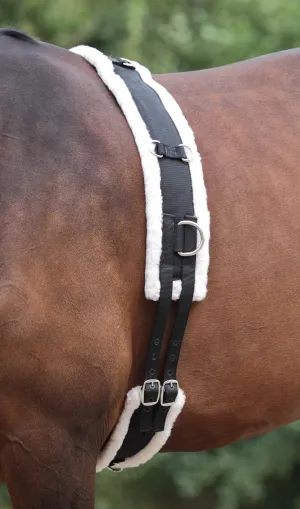 Shires Equestrian Nylon Lunging Roller with Fleece Padding