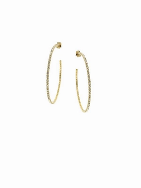 Small Hoop Earrings