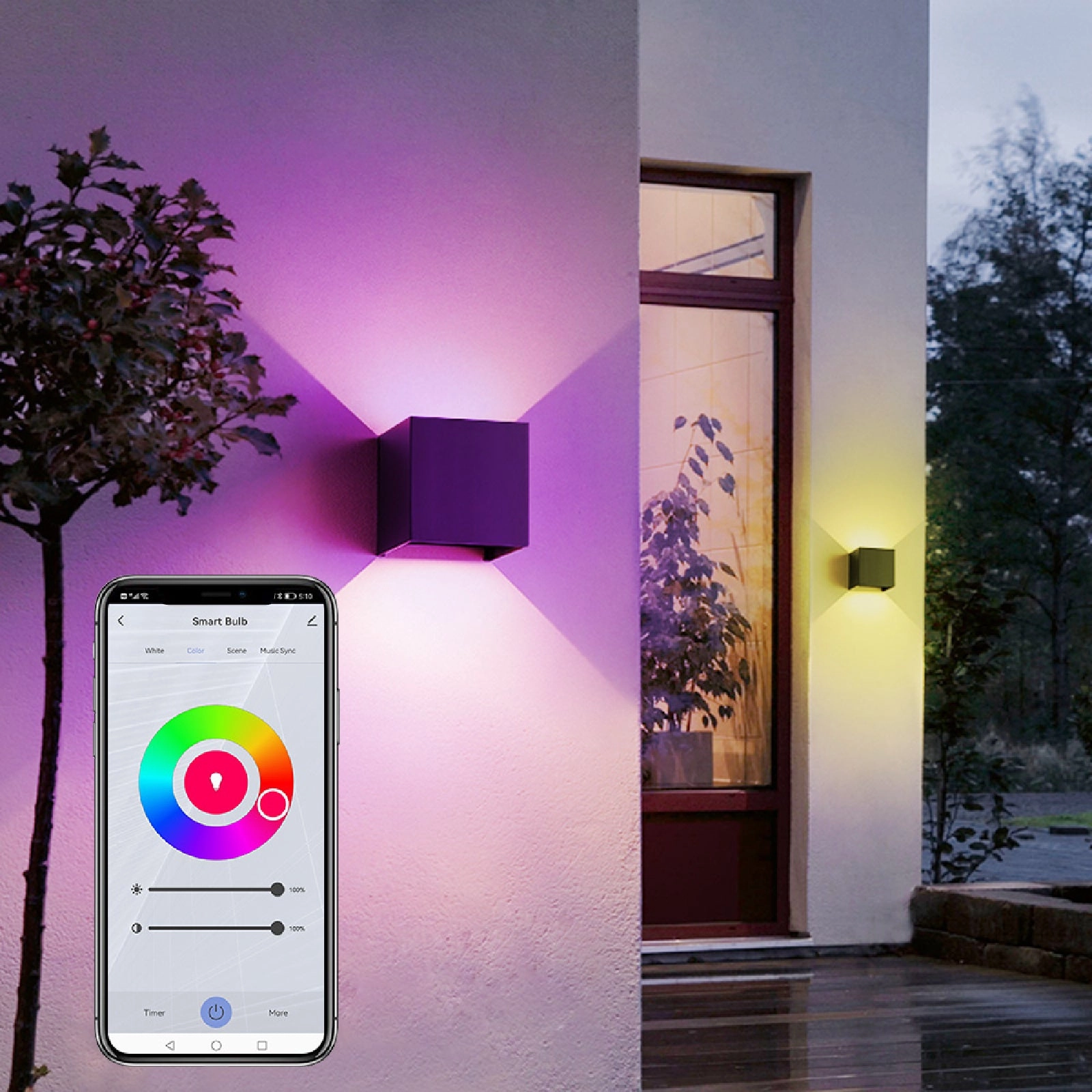 Smart Outdoor Wall Light 6W