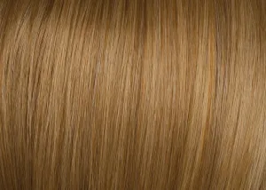 Style-a-Do/Mini-Do Duo Pack Color R14/25 Honey Ginger - Hairdo Set of Twist Classic 2 Hair Wraps 6" & 7.5" Lengths Tru2Life Synthetic Fiber Formal Updo Bun Hairpiece Instant Volume Maxwigs Booklet