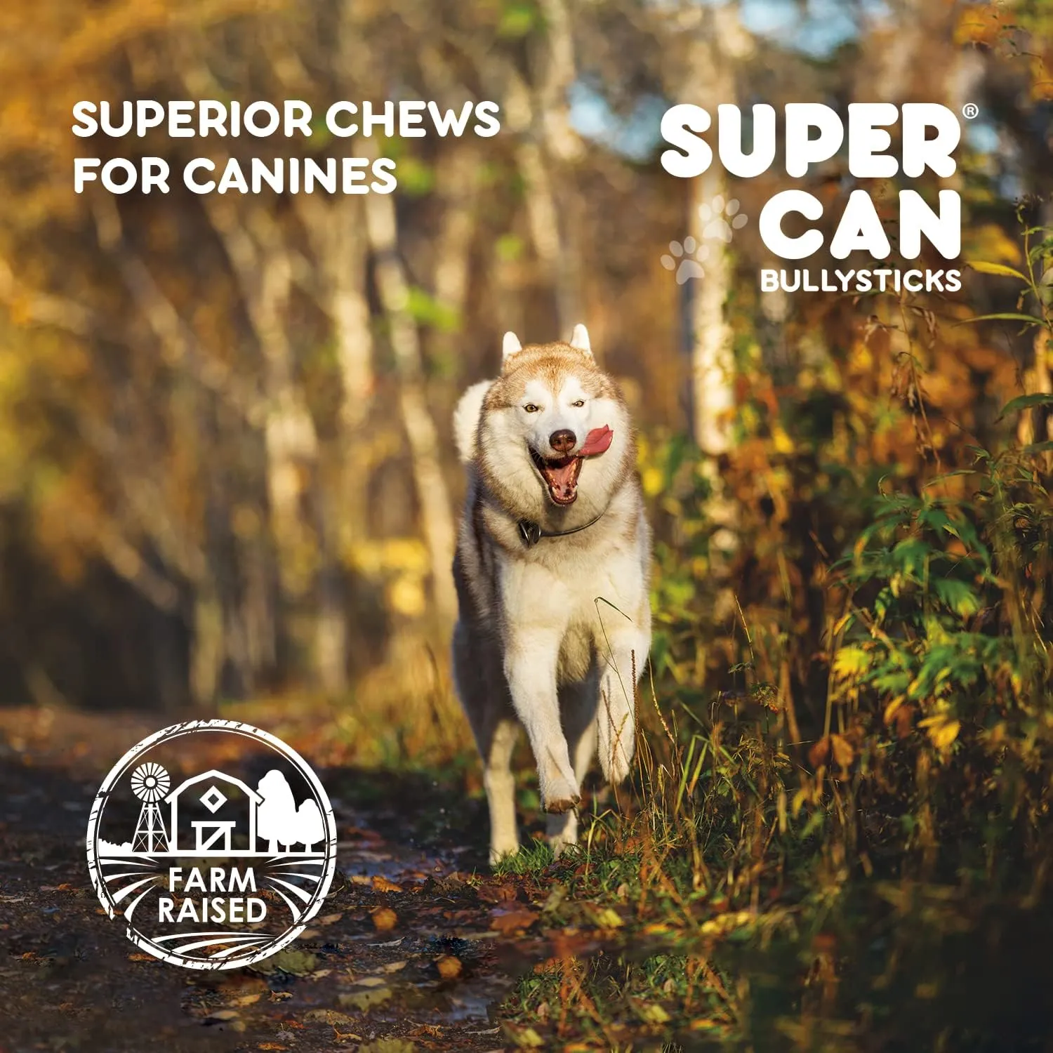 Supercan Bully Sticks for Small & Medium Dogs 4"-5" (25-Pack) – 100% Natural Long-Lasting Dog Chews - Free-Range Grass-Fed Beef - High-Protein - Easily Digestible Treats for Healthy Teeth